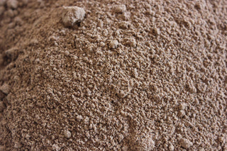 Reishi Mushroom, powder (Ling Zhi)
