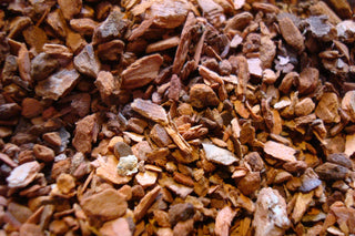 Sassafras root bark, c/s