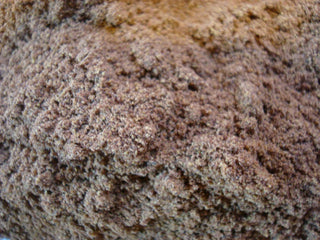 Saw Palmetto berry, powder