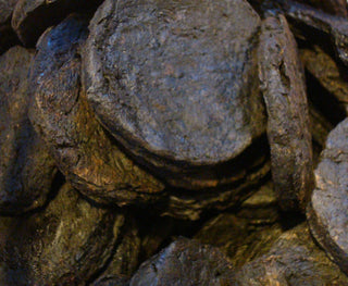 Rehmanniae (Shu Di Huang)