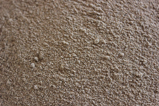 Shiitake, powder