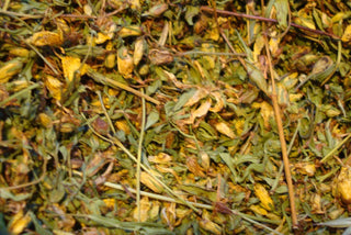 Saint John's Wort, buds and flowers