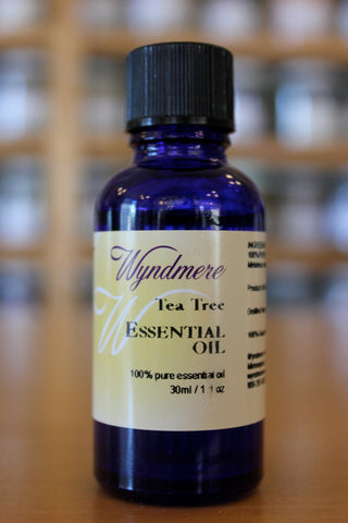 Tea Tree (Wyndmere)
