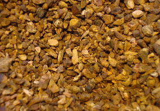 Turkey Rhubarb root, c/s