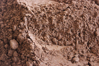 Turkey Tail Mushroom, powder