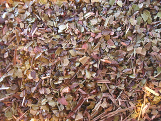 Uva Ursi leaf