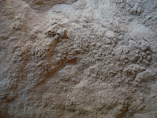 Valerian root, powder