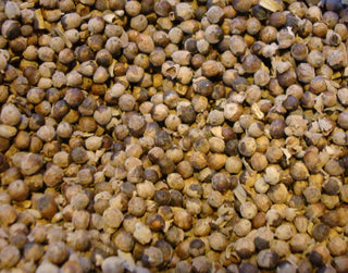 Vitex (Chaste Tree) berry, whole