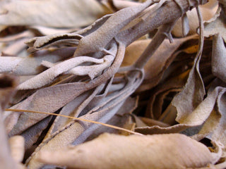 Ceremonial White Sage –&ndash;Loose Leaves