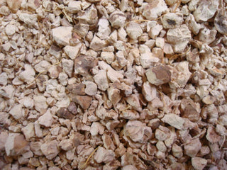 Wild Yam root, c/s