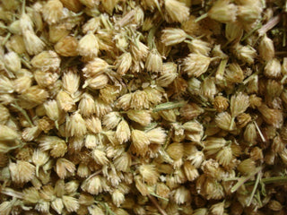 Yarrow flower &amp; herb, c/s