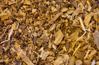 Yellow Dock root, c/s