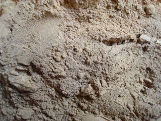 Yellow Dock root, powder